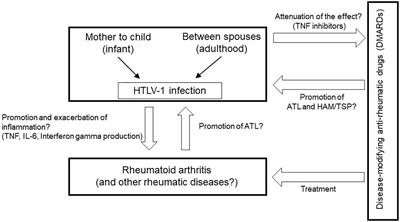 HTLV-1 Infection and Rheumatic Diseases